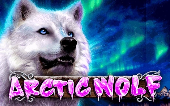 arctic-wolf