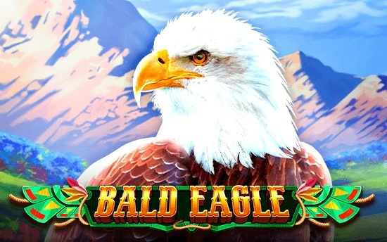 bald-eagle