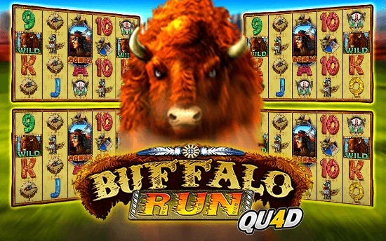 buffalo-run-quad