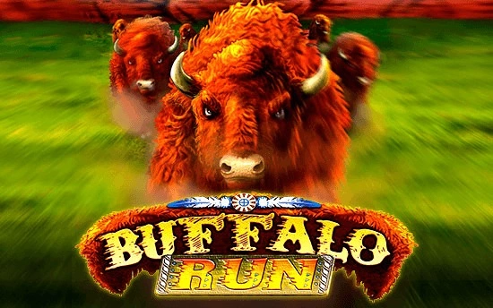 buffalo-run