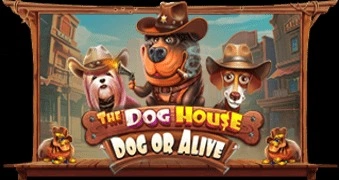 the-dog-house-dog-or-alive