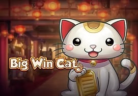 big-win-cat