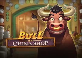 bull-in-a-china-shop