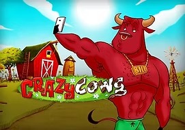crazy-cows