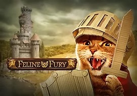 feline-fury