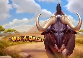 win-a-beest