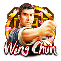 wing-chun